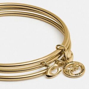 NWT $148 Three (3) Coach horse and carriage individual bangles